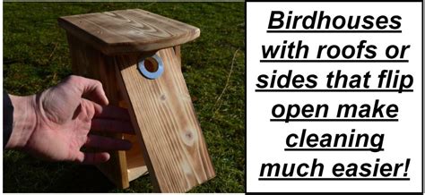 diy bird house door cleaning